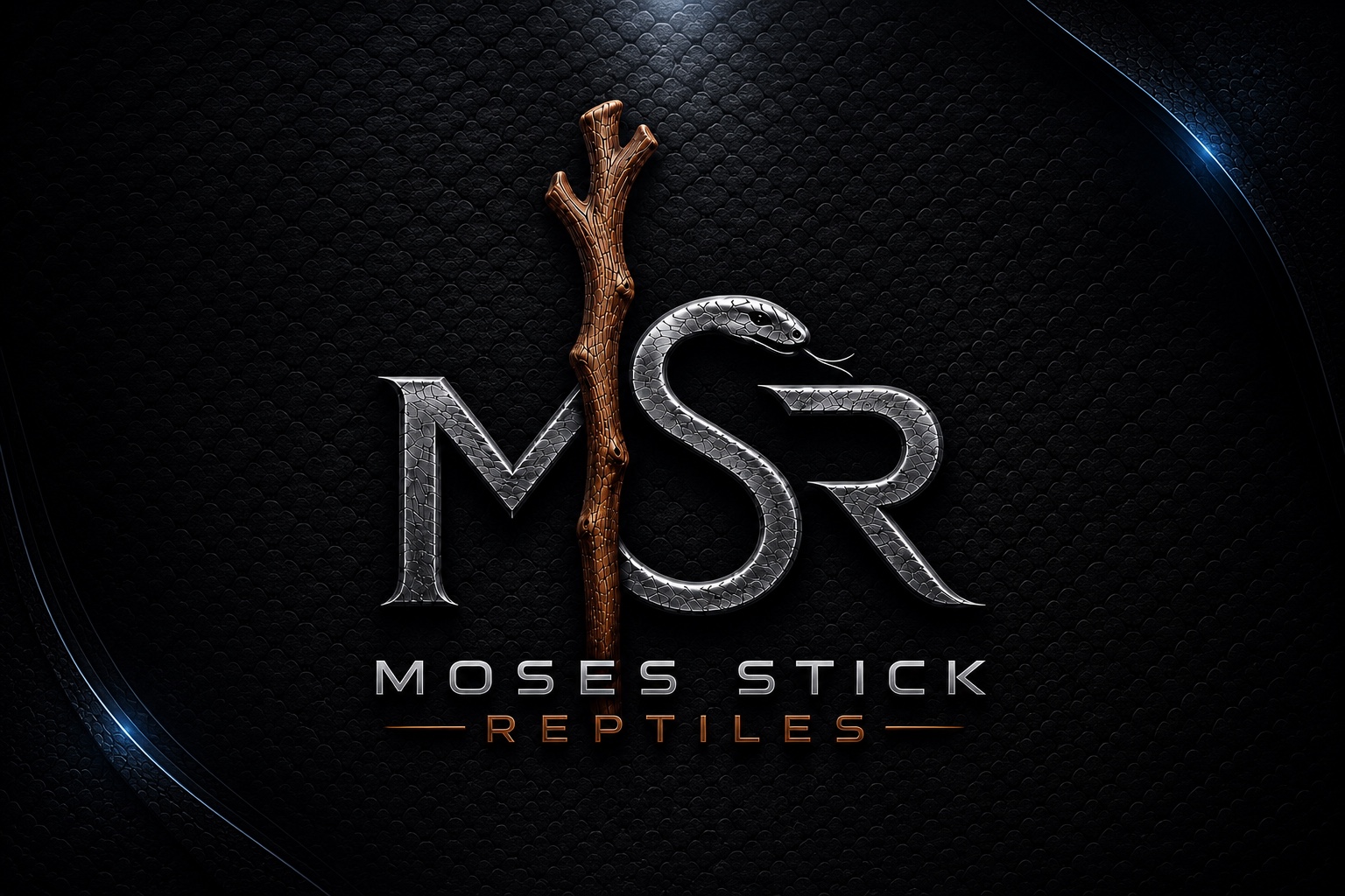 هوية MSR